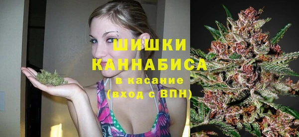 apvp Пересвет