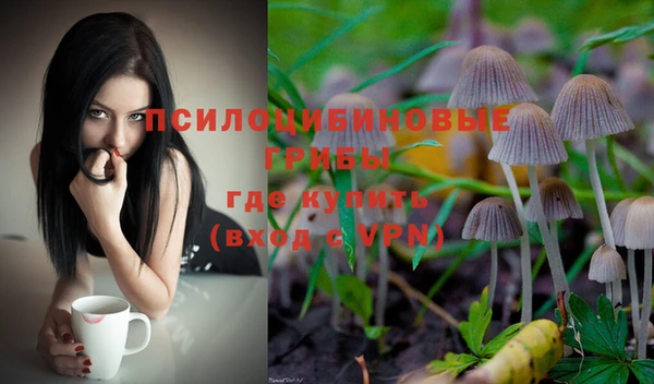 apvp Пересвет