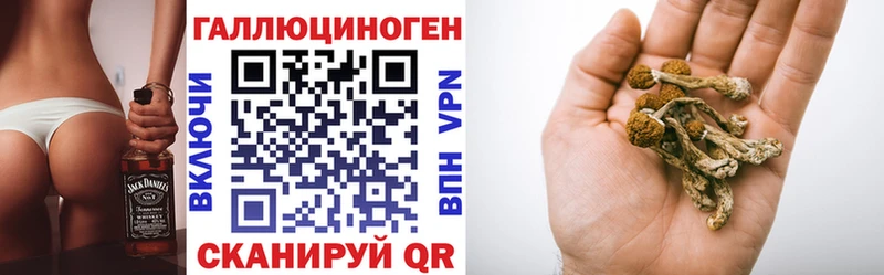 hydra tor Саяногорск Галлюциногенные грибы Psilocybe